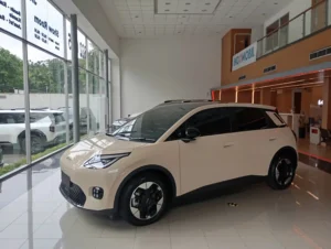 Perawatan Mobil Listrik